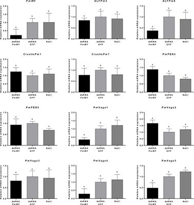 Penaeus monodon Interferon Regulatory Factor (PmIRF) Activates IFNs and Antimicrobial Peptide Expression via a STING-Dependent DNA Sensing Pathway